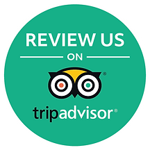 Trip Advisor Review